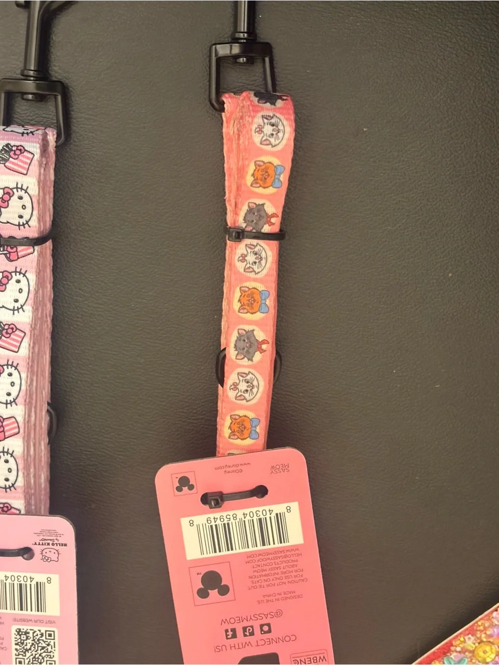 Disney Arostrocat Pet Leash